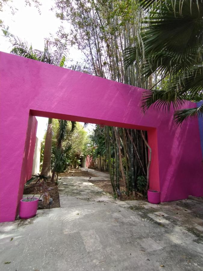 Hôtel Casa Isabella à Cozumel Extérieur photo